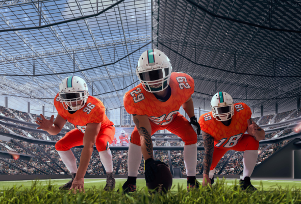 Sports Event Car Service at Yankee Stadium